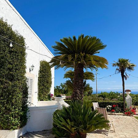 B&B Nonno Ciccio Monopoli Kültér fotó